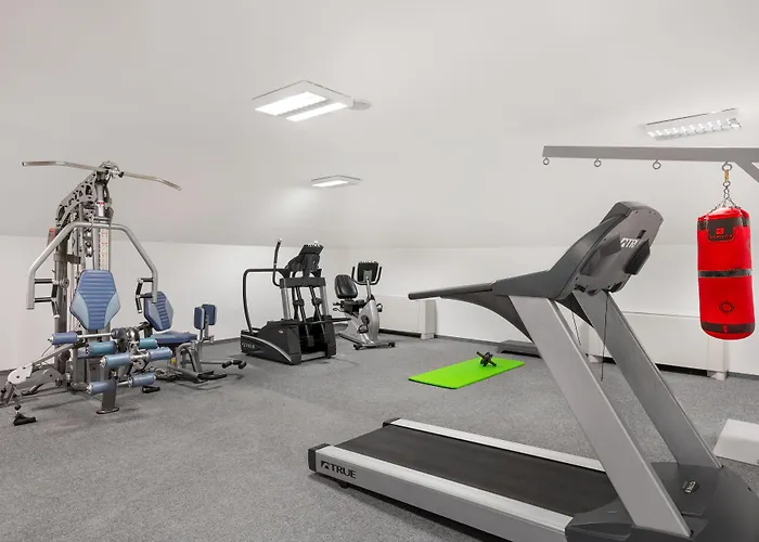 Mercure Magyar Kiraly Székesfehérvár